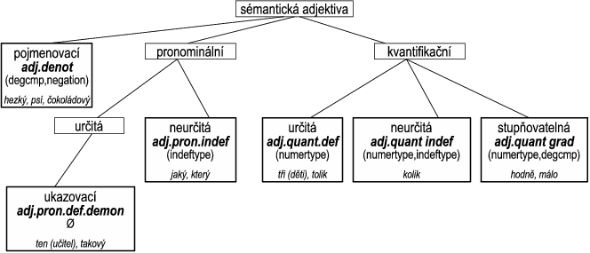 Vnitřní struktura sémantických adjektiv