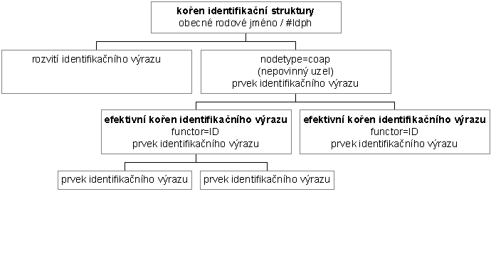 Identifikační struktura