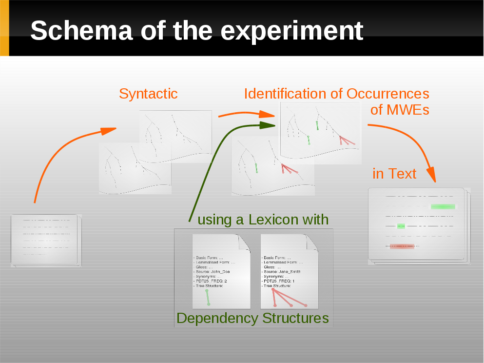 schema of the experiment