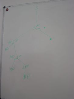 dsc00130.jpg