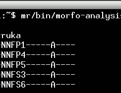 Preview of the morfo-analysis output