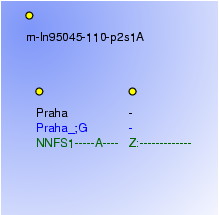 Morphological Notation