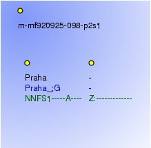 Morphological Notation