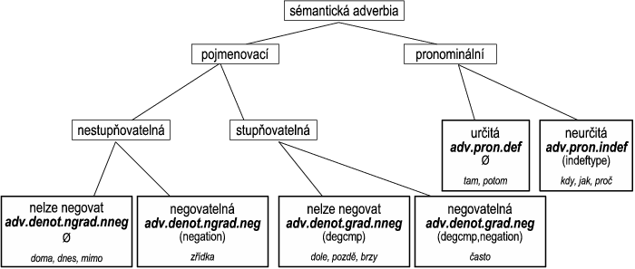 Vnitřní struktura sémantických adverbií
