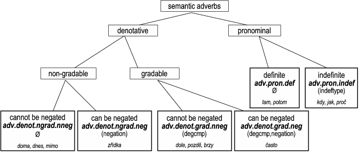 Inner structure of semantic adverbs