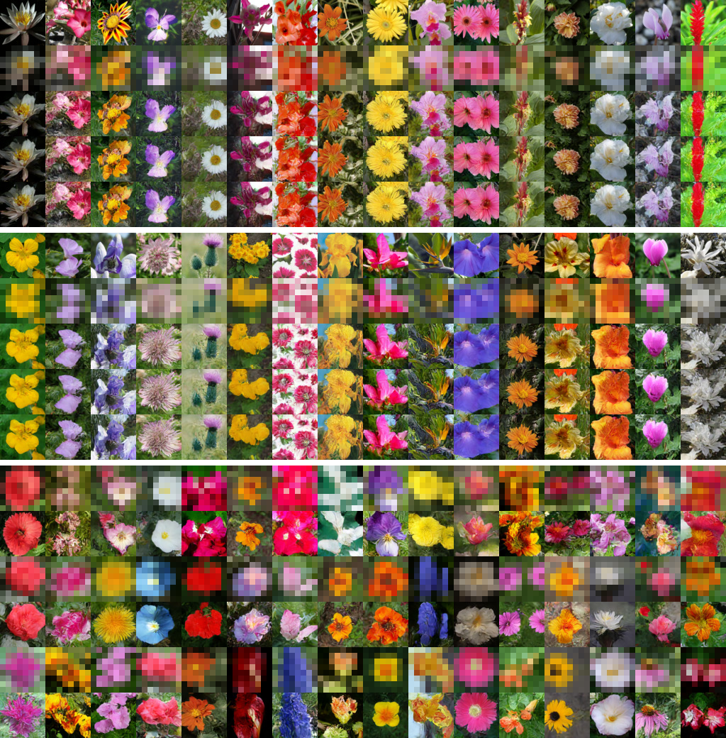 oxford_flowers102 samples