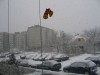 0298_0534.JPG
