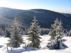 0298_0543.JPG