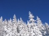 0298_0552.JPG