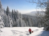 0298_0577.JPG