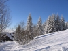 0298_0585.JPG