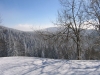 0298_0588.JPG
