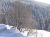 0298_0598.JPG