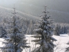 0298_0601.JPG