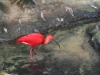 IMG_2564.JPG